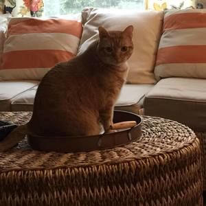 Meet your Posher, Mary ann